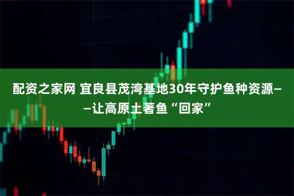 配资之家网 宜良县茂湾基地30年守护鱼种资源——让高原土著鱼“回家”